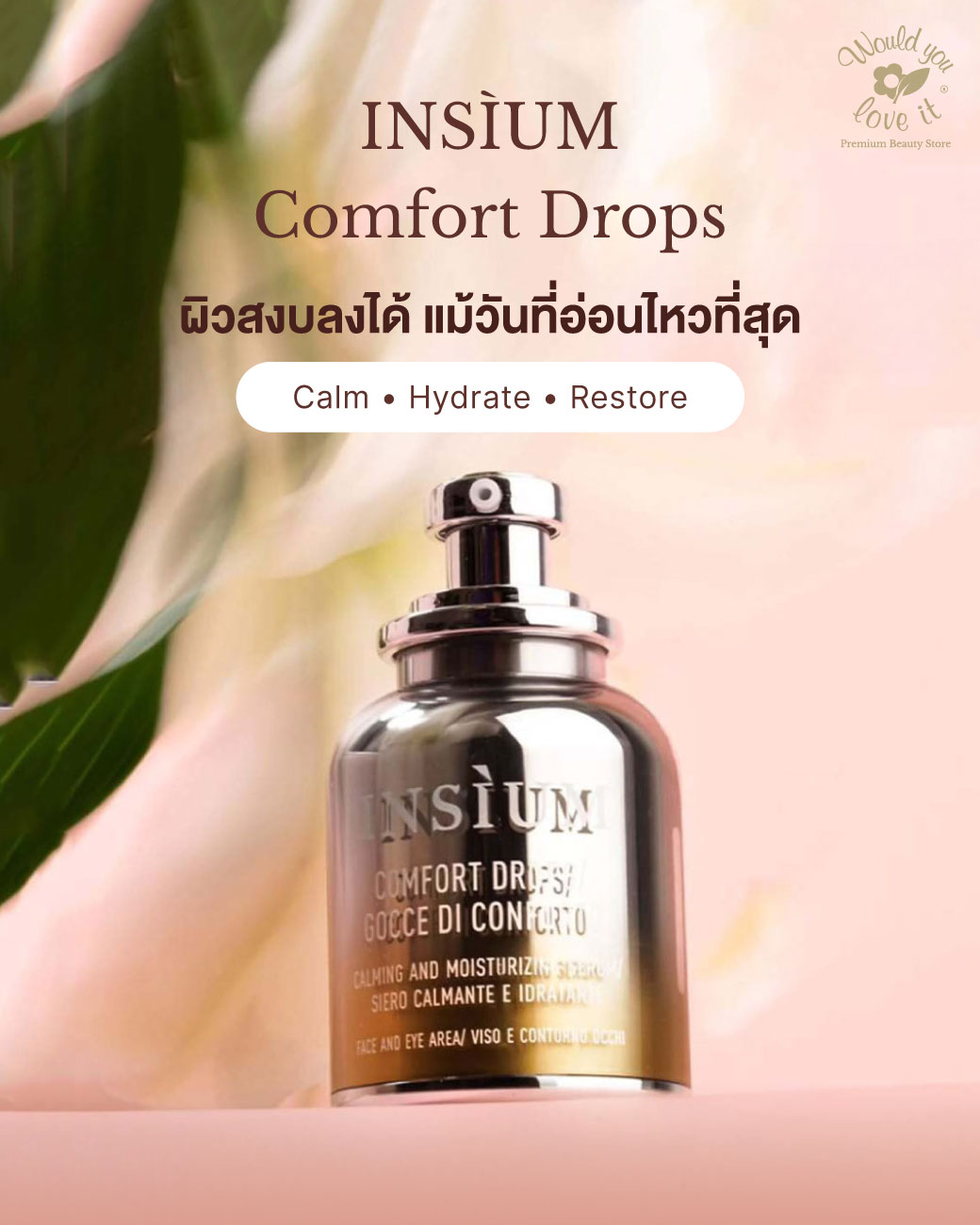 /storage/gallery/product/293/ข้อมูล-comfort-drop-30ml-RICHMSG2.jpg